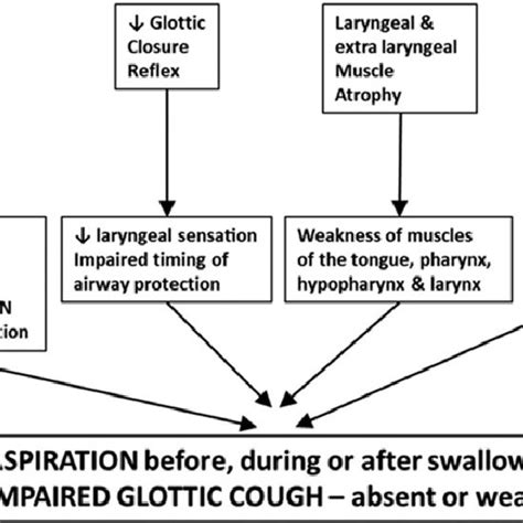 Pdf Development Of A Modified Swallowing Screening Tool To Manage