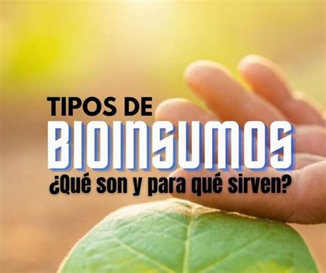 Tipos De Bioinsumos Qu Son Y Para Qu Sirven Entufinca