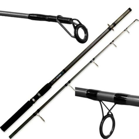 Sea Hawk Ft Beach Caster Rod Ebay