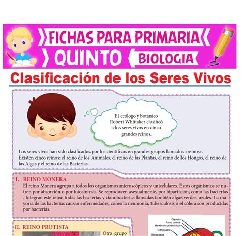 Clasificaci N De Los Seres Vivos Para Quinto De Primaria