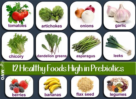 Healthy Foods High In Prebiotics