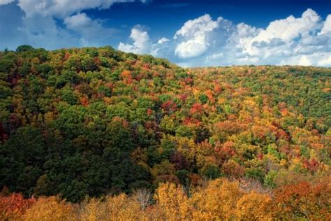 Free Images Landscape Tree Nature Wilderness Mountain Sky