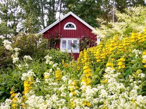 012 In The Flower Garden Småland Sweden Scandinavian Garden Garden