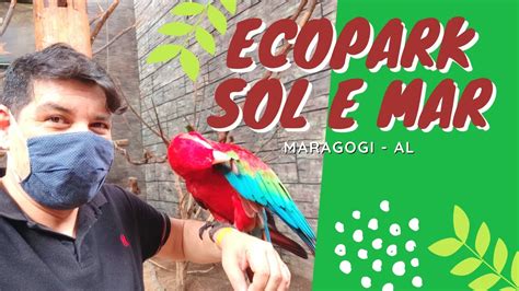 Ecopark Sol E Mar Maragogi AL YouTube