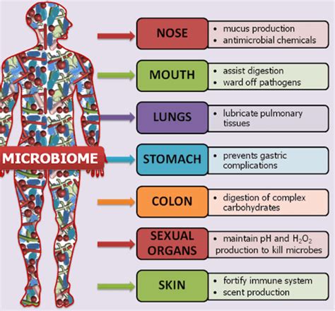 What is the Human microbiome? - Rau's IAS