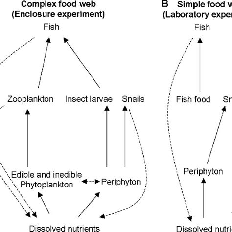 Stoichiometry And Biomass Of Periphyton In The Enclosure Experiment