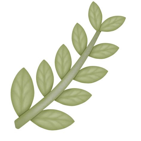 drawing leaves 4