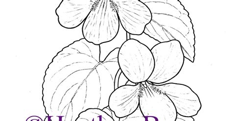 State Flower Coloring Book: New Jersey State Flower: Violet