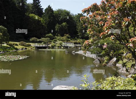 Japanese Garden, Seattle Arboretum Stock Photo - Alamy