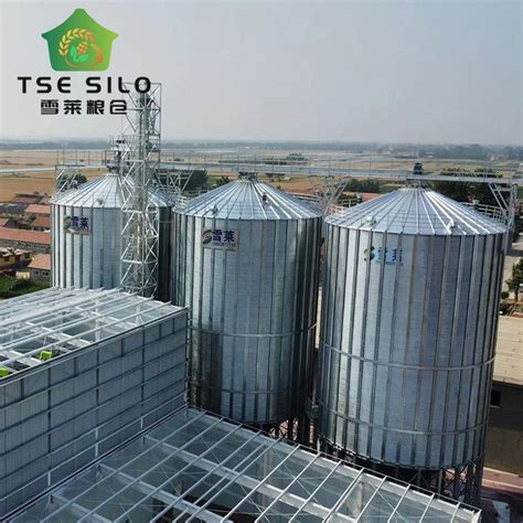 Tse Reliable Steel Hopper Bottom Silos For Feed Line China Grain