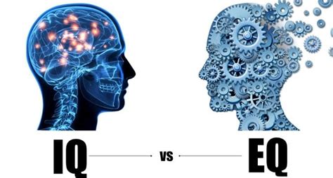 Quociente De Inteligência O Que É - Inteligência e QI os Segredos e 3 Mitos Sobre a Mente Humana