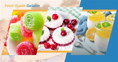 Edible Gelatin Manufacturers Edible Gelatin Powder Banagel