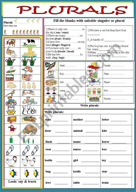 Nouns Singular Plural Esl Worksheet By Jhansi C