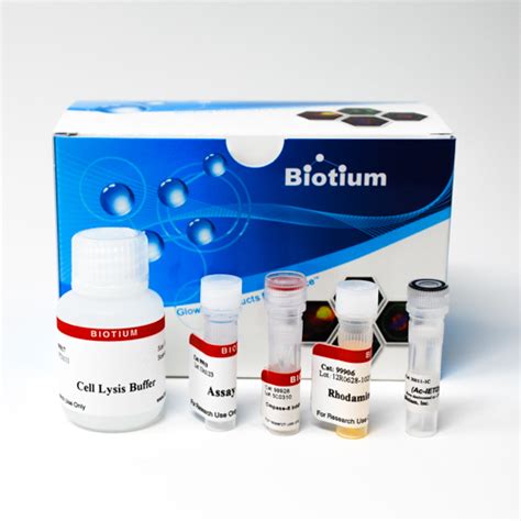 Caspase 8 Ietd R110 Fluorometric And Colorimetric Assay Kit Biotium