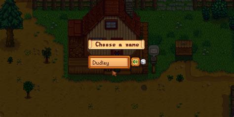 Stardew Valley: How to Get a Pet