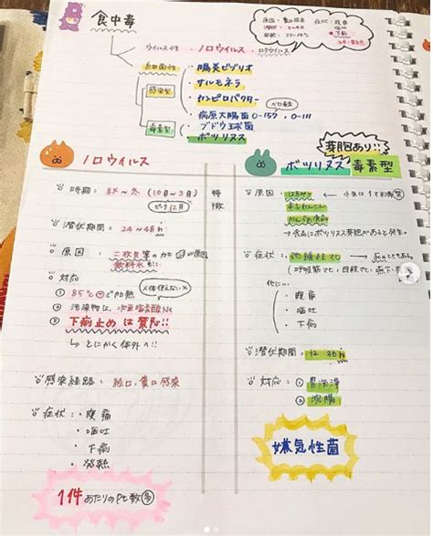 勉強もおしゃれにしたい！ノートの可愛いまとめ方・書き方12選