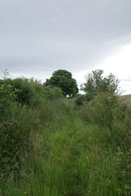 Tofta Road Staintondale Habiloid Cc By Sa Geograph Britain