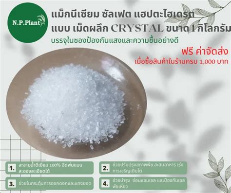 แมกนเซยม ซลเฟต แฮปตะไฮเดรต Magnesium Sulphate Heptahydrate MGSO4