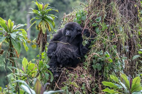 Home - Rob Hislop Photography
