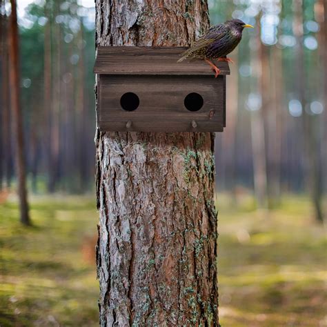 Nichoir Oiseaux Exterieur Cabane Oiseaux Bois Maison Oiseaux Exterieur