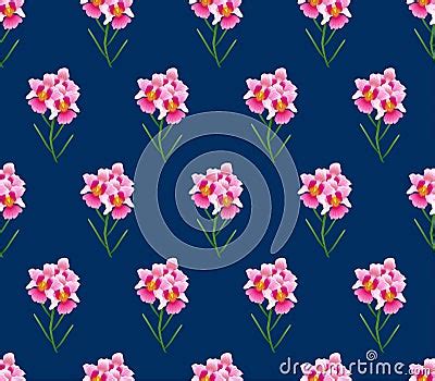 Pink Vanda Miss Joaquim Orchid On Indigo Blue Background Singapore