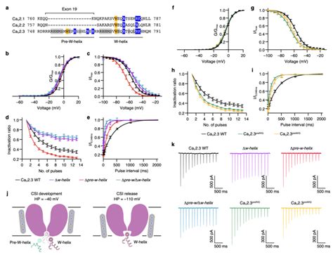 CSI Regulation By Pre W Helix A Sequence Alignment Of The DII III