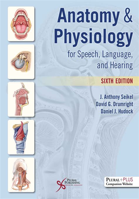 Chapter 6 Anatomy And Physiology Answers - Anatomy Book