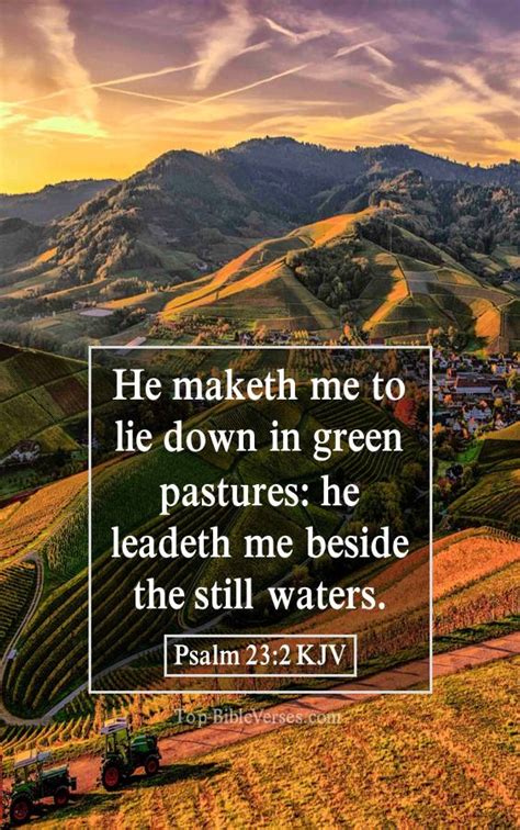 Psalm 23 Kjv Bible Verse Mobile Images Psalm 23 Kjv Images