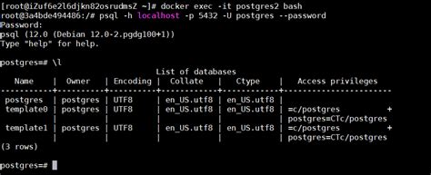 Docker安装并持久化postgresql数据库的操作步骤docker脚本之家