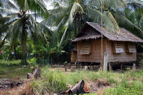 Nipa Hut Stilt House Kalibo Bahay Kubo Traditional Houses House