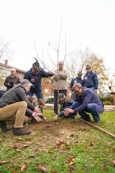 Alberi Per Il Futuro Il Movimento 5 Stelle Pianta 80 Alberi In