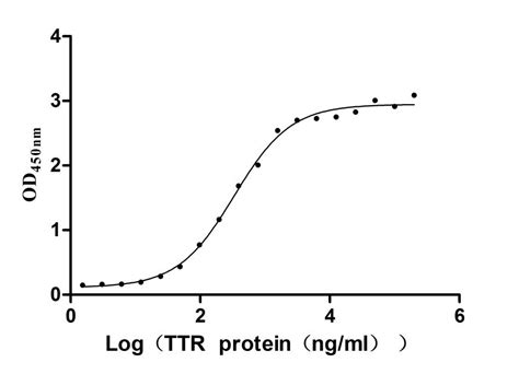 Recombinant Human Retinol Binding Protein 4 Rbp4 Active Cusabio