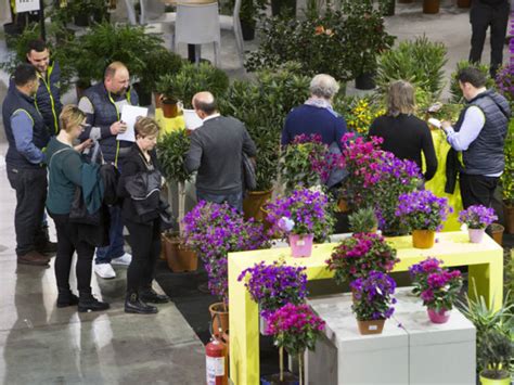 Al Via La Fiera Myplant Garden Liguria Prima Classificata Tra Le