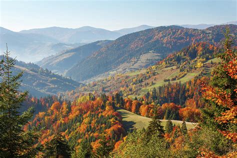 Colorful And Bright Autumn Forest Photograph by Serhii Kucher - Fine Art America