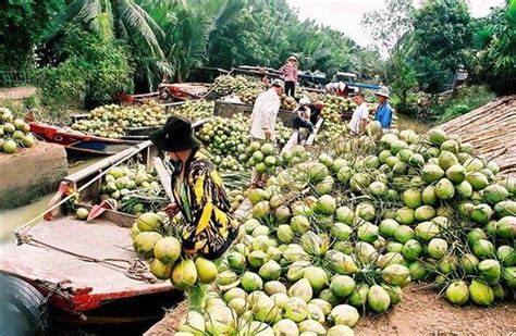 จงหวดเบนแจ เวยดนามโอกาสสำหรบเครองจกรกลการเกษตรไทย กรมสงเสรม