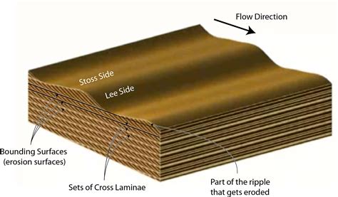 52 Sedimentary Structures Lab And Homework Resources Geosciences