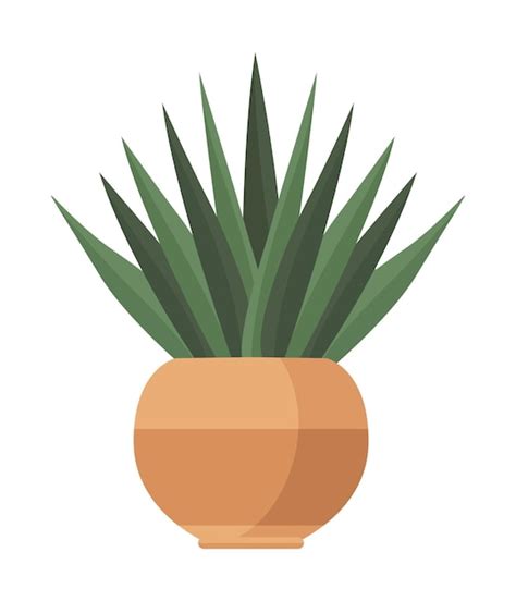 Planta De Interior Ornamental En Maceta Icono De Naturaleza Vector Gratis