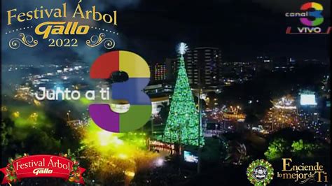 Festival Arbol Gallo Canal Guatemala En Vivo Youtube