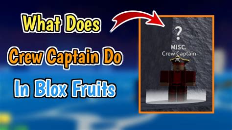 What Does Crew Captain Do In Blox Fruits How To Talk With Crew