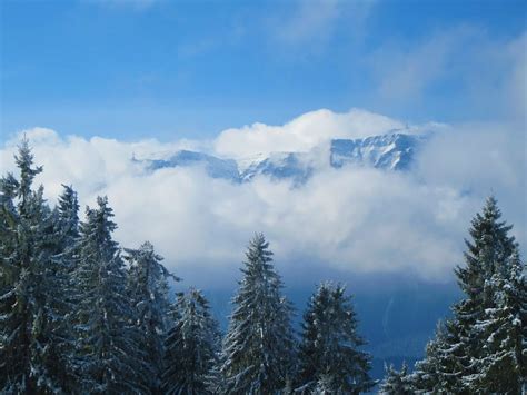 Excursie Munte Baiului Garbova OxigenTour Ro