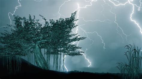 Heavy Thunderstorm Sounds Entspannender Donner Blitz Ambiente für