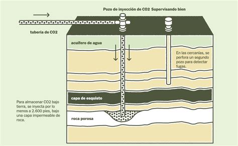 ¿qué Es Y Cómo Funciona La Captura De Carbono Infobae