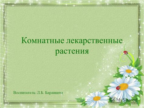Презентация на тему: "Комнатные лекарственные растения Воспитатель: Л.Б ...