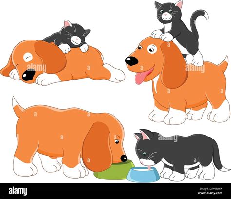 Kitty And Puppy Vector Collection Stock Vector Image And Art Alamy