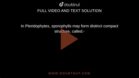 In Pteridophytes, sporophylls may form distinct compact structure, called:-