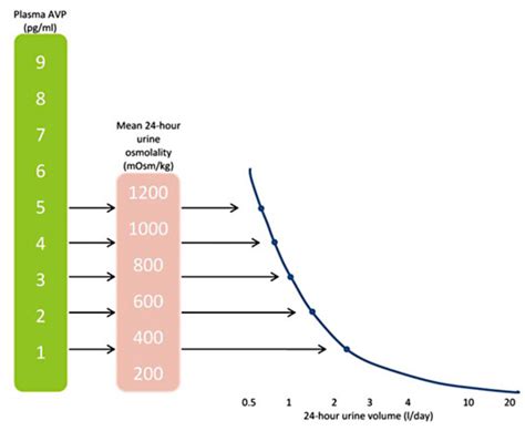 Relationship among plasma AVP, 24-hour urine osmolality and 24-hour ...