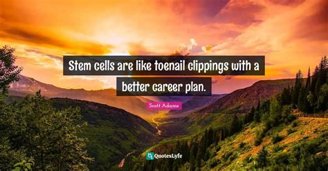 Stem cells are like toenail clippings with a better career plan.... Quote by Scott Adams ...