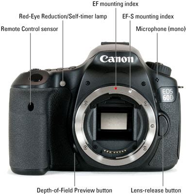 Canon 60d Photography Tutorial