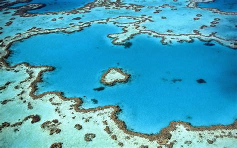 Experience the Wonders of Australia's Coral Sea - The Scuba News