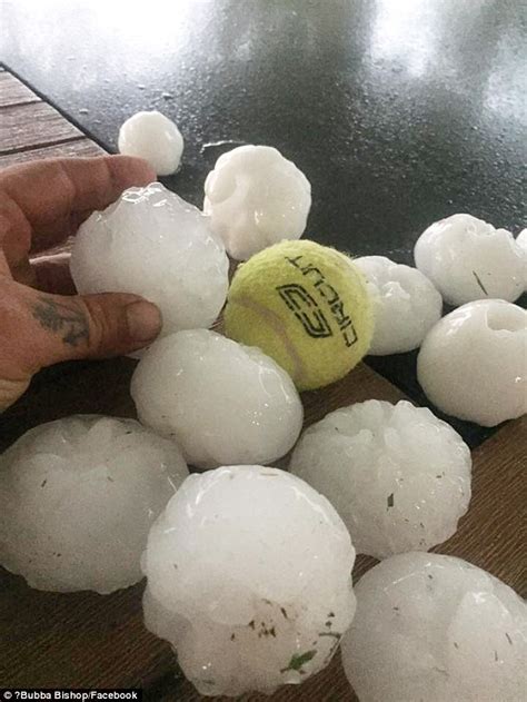 Run For Your Lives Queenslanders Literally Tennis Ball Sized Hail